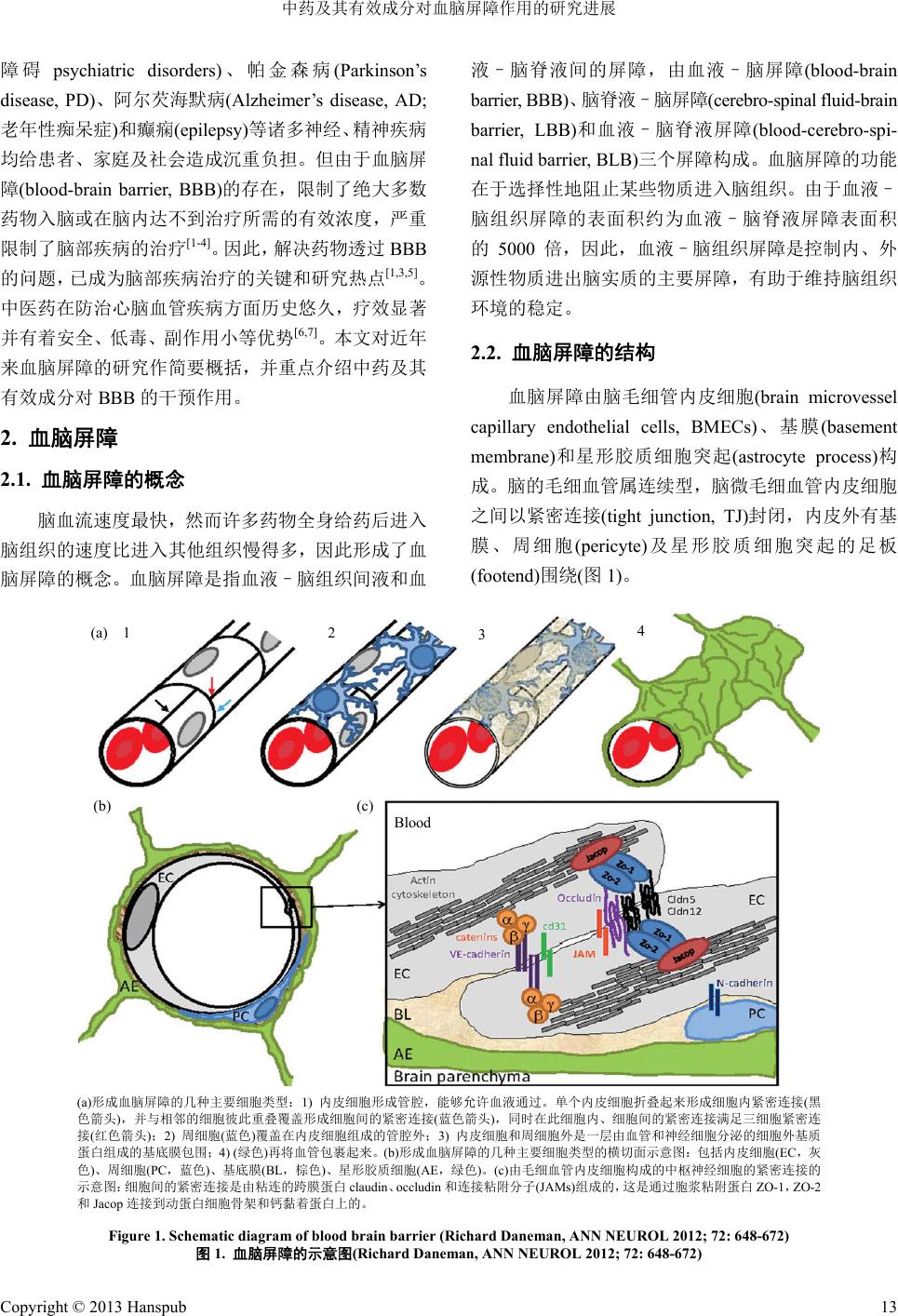 中药及其有效成分对血脑屏障作用的研究进展research Progress Of The Effects Of Traditional Chinese Medicine And Its Active Ingredients On The Blood Brain Barrier