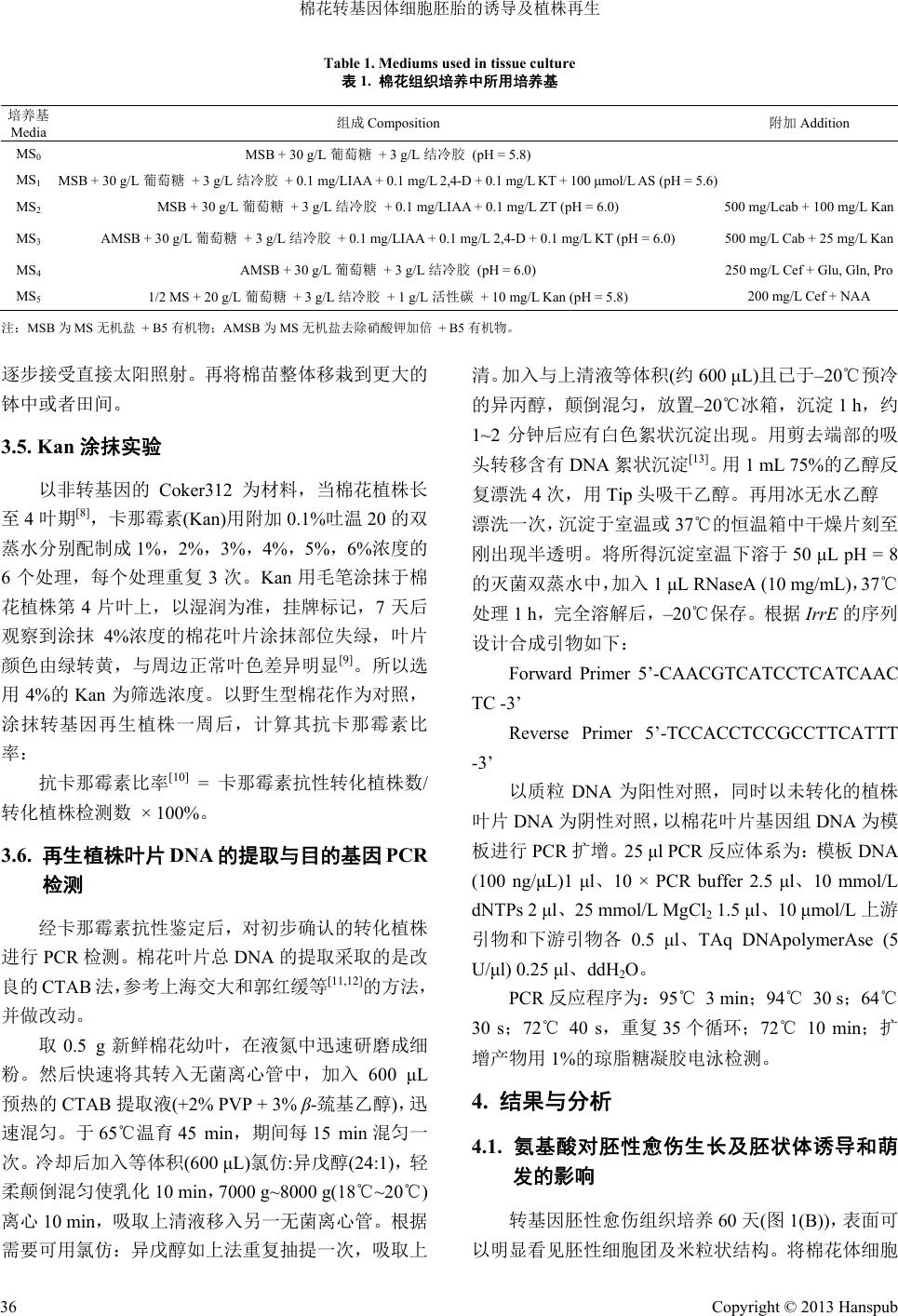 棉花转基因体细胞胚胎的诱导及植株再生somatic Embryogenesis And Plant Regeneration In Cotton Gossypium Hirsutum L After Agrobacteria Mediated Tranformation