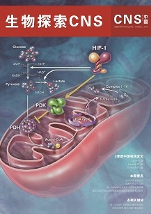 生物探索CNS